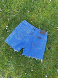 Wrangler Vintage High Waisted 90s Denim Shorts Blue - W32